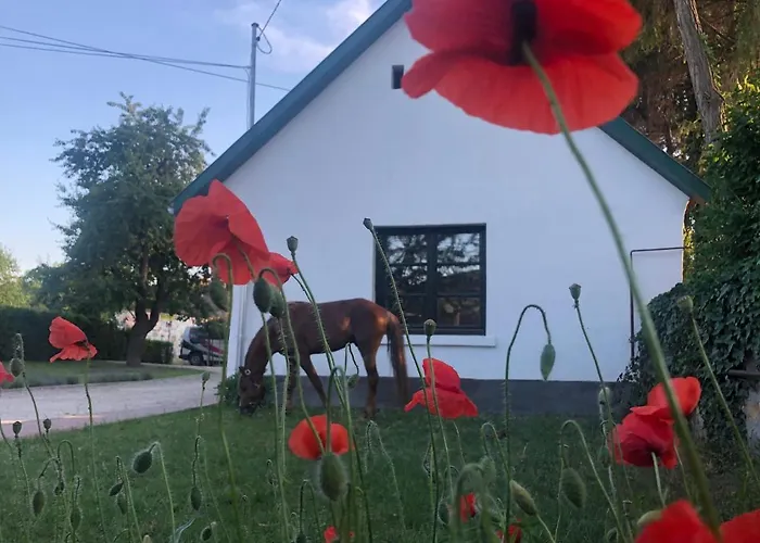 Lovas Udvarhaz Ezuest Zabla Apartman Piliscsaba